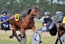 What Are The Rules Of Harness Racing?