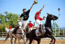 What Are The Rules Of Horseball?