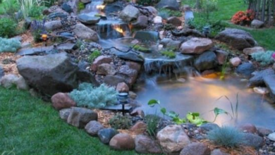 Pond Lighting: Transform Your Water Garden into a Nighttime Paradise