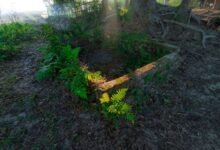 increase instagram follower count