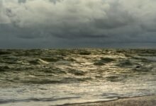 revenue beam horizon surge