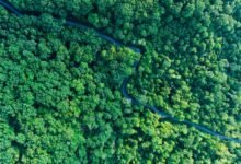 stellar pathway growth analysis