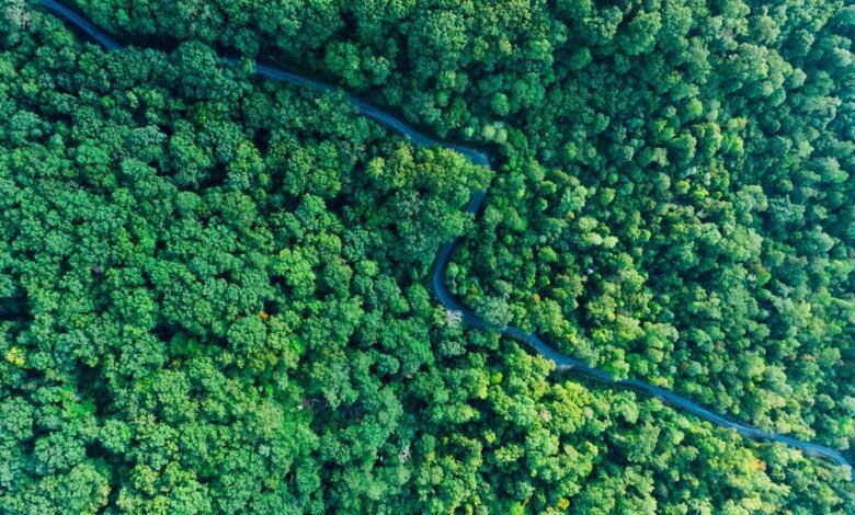 stellar pathway growth analysis