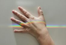 nova prism start numbers insights