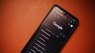 phone number lookup results summary