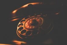 phone numbers search results details summary