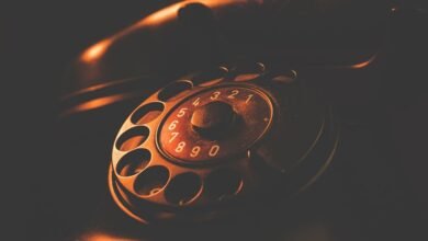 phone numbers search results details summary