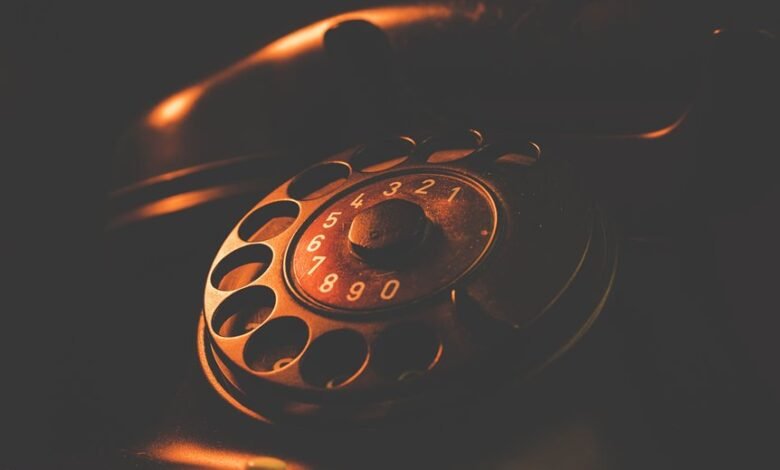 phone numbers search results details summary