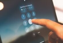 public phone lookup data revealed