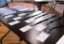 public registry findings summary