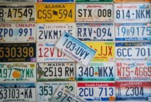 registered numbers profile review summary