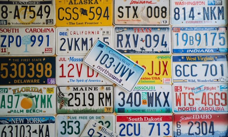 registered numbers profile review summary