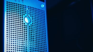 registry lookup five ids listed