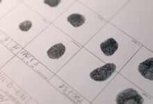 registry reference numbers for search