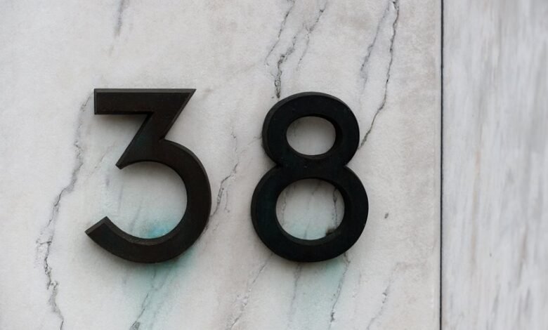 trace numbers listed for search activity