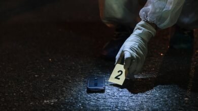 verified numbers browse evidence for listed numbers