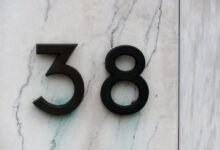view number search evidence for listed ids